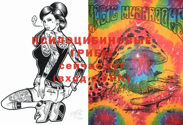 марки lsd Каменногорск