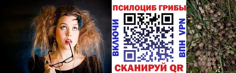 Псилоцибиновые грибы MAGIC MUSHROOMS  Купить  Демидов 